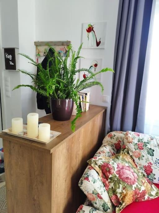 Renovated Apartment With Garden And Parking Space Peraia  ภายนอก รูปภาพ