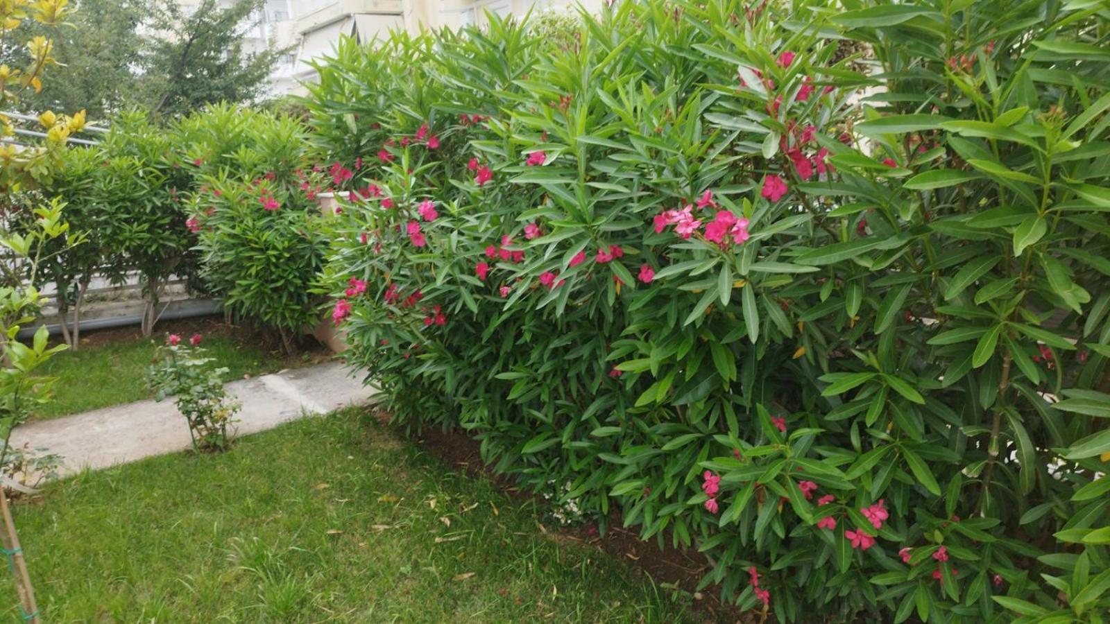 Renovated Apartment With Garden And Parking Space Peraia  ภายนอก รูปภาพ
